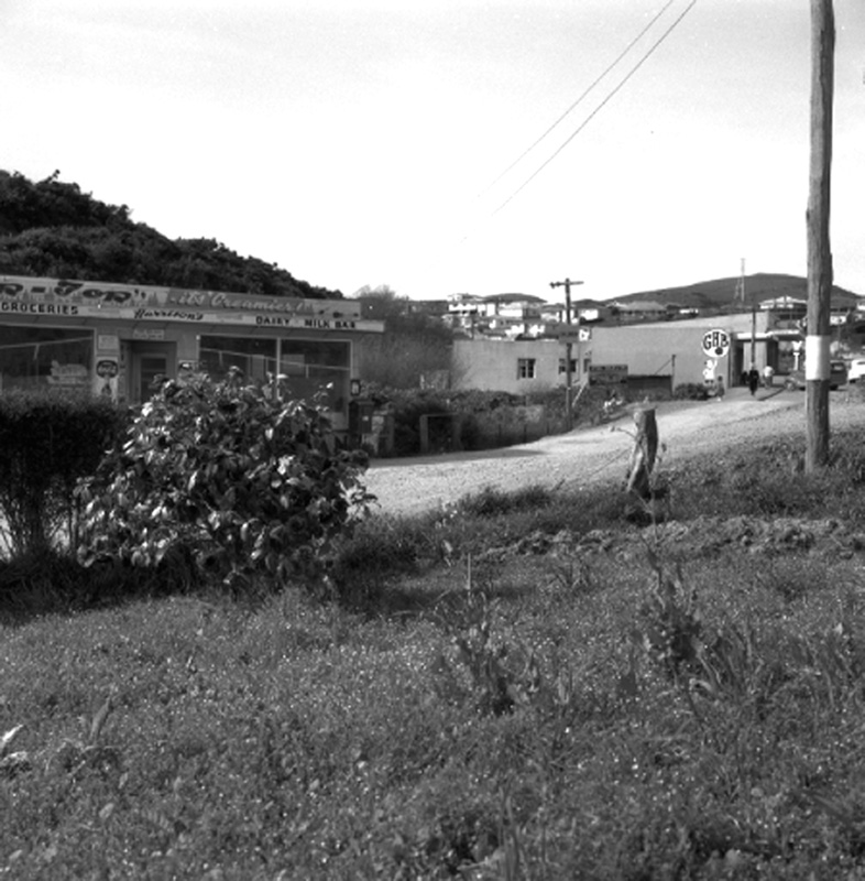 b. Harrisons Store, Newlands