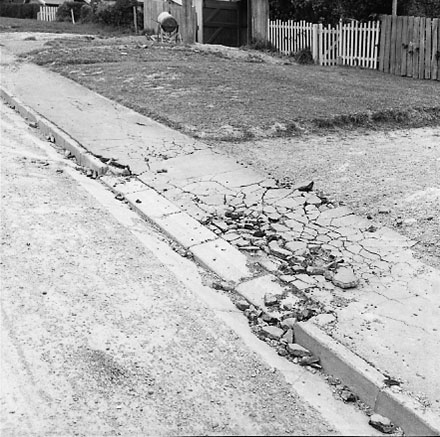 d. Albert Street, damage to kerb and channelling
