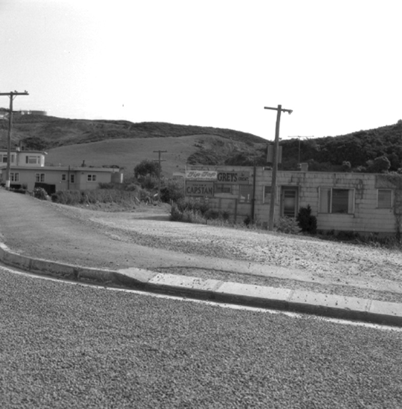 e. Harrisons Store, Newlands