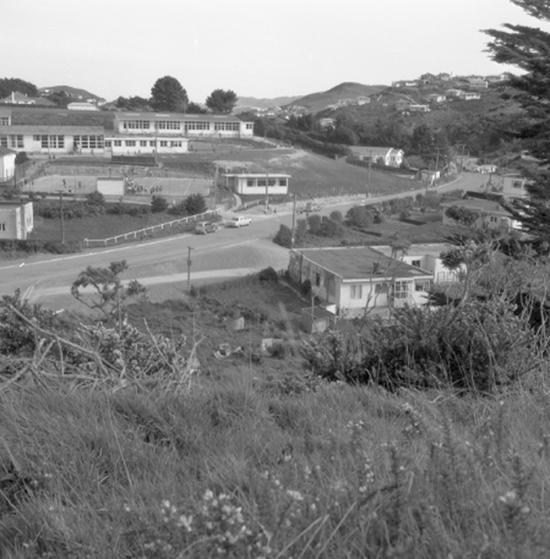 g. Harrisons Store, Newlands