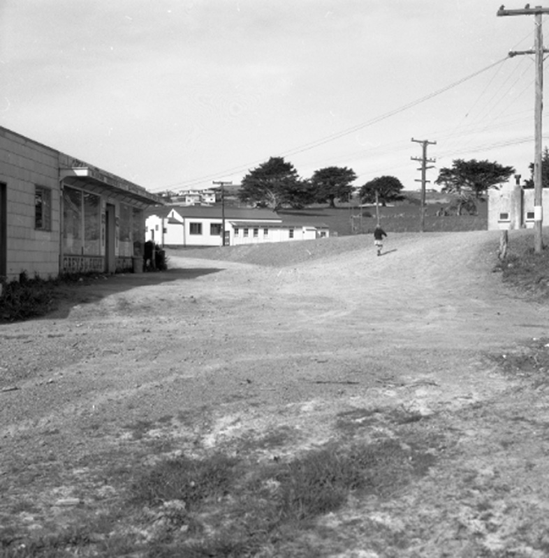 h. Harrisons Store, Newlands