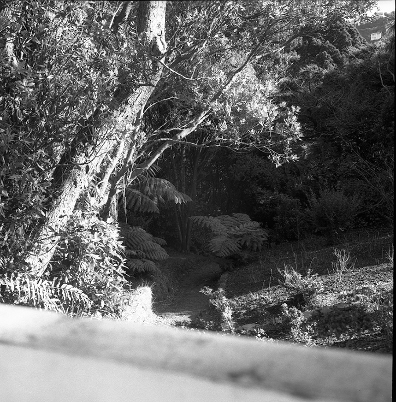 g. Parks and Reserves