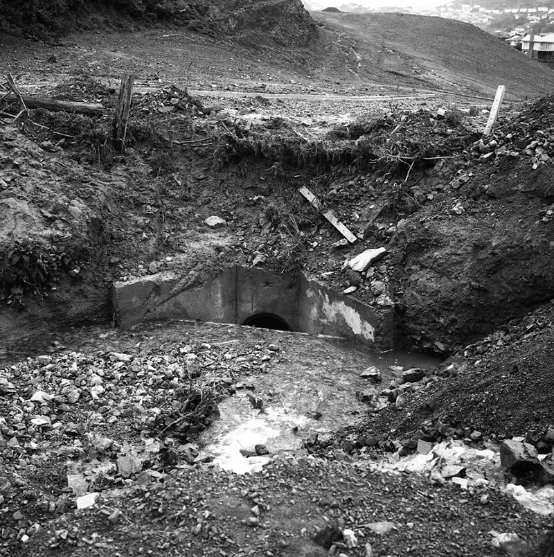 a. Storm Damage, Awarua Street (Kilminster Estate)
