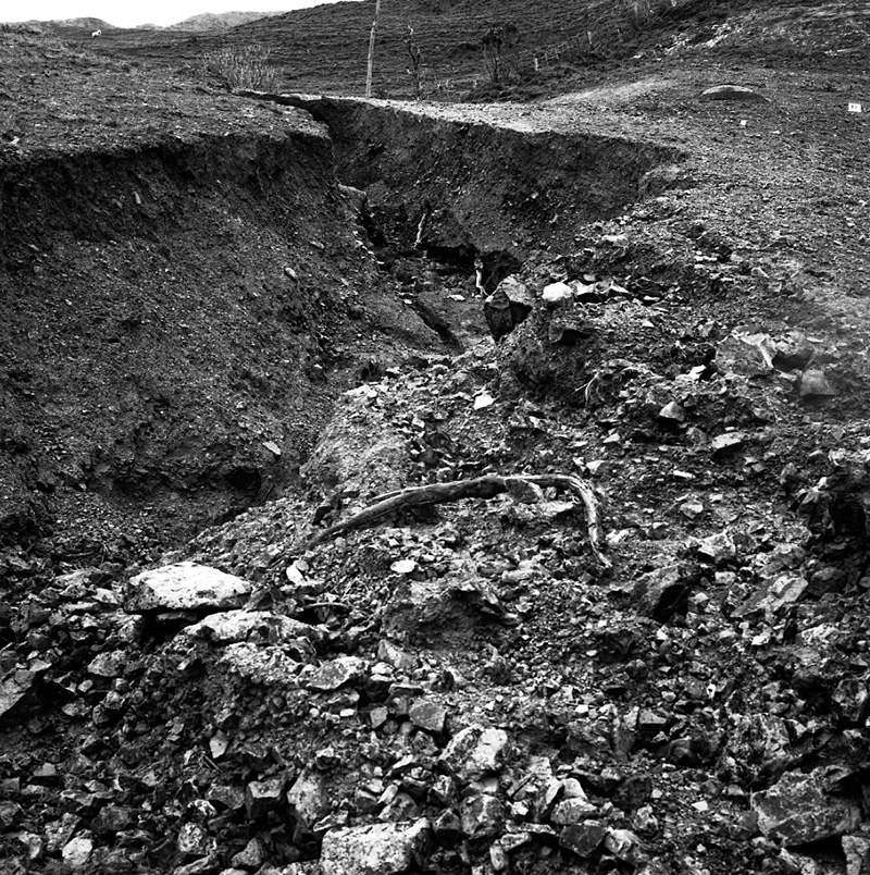c. Storm Damage, Awarua Street (Kilminster Estate)