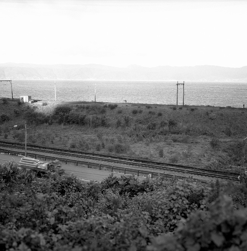 n. Parks and Reserves