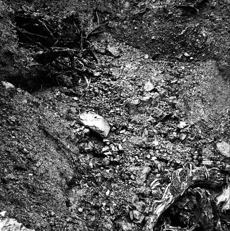 d. Storm Damage, Awarua Street (Kilminster Estate)