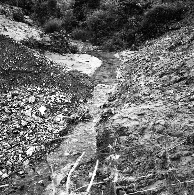 h. Storm Damage, Awarua Street (Kilminster Estate)