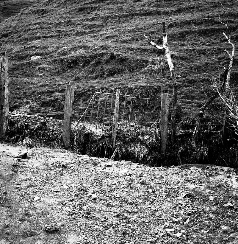 l. Storm Damage, Awarua Street (Kilminster Estate)