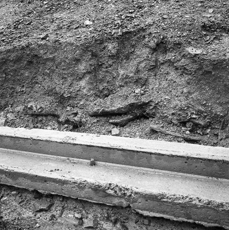m. Storm Damage, Awarua Street (Kilminster Estate)