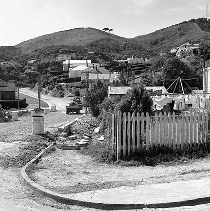 f. Garden and wooden fence, corner of Orangi Kaupapa Road and Woburn Road