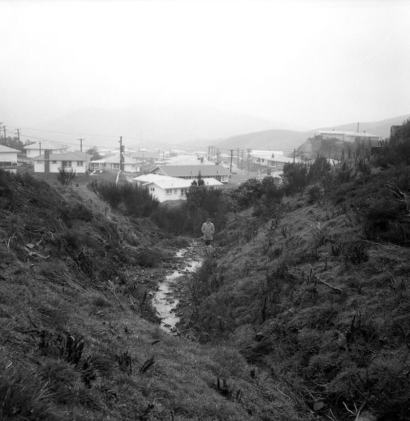 a. Beasley, Paparangi