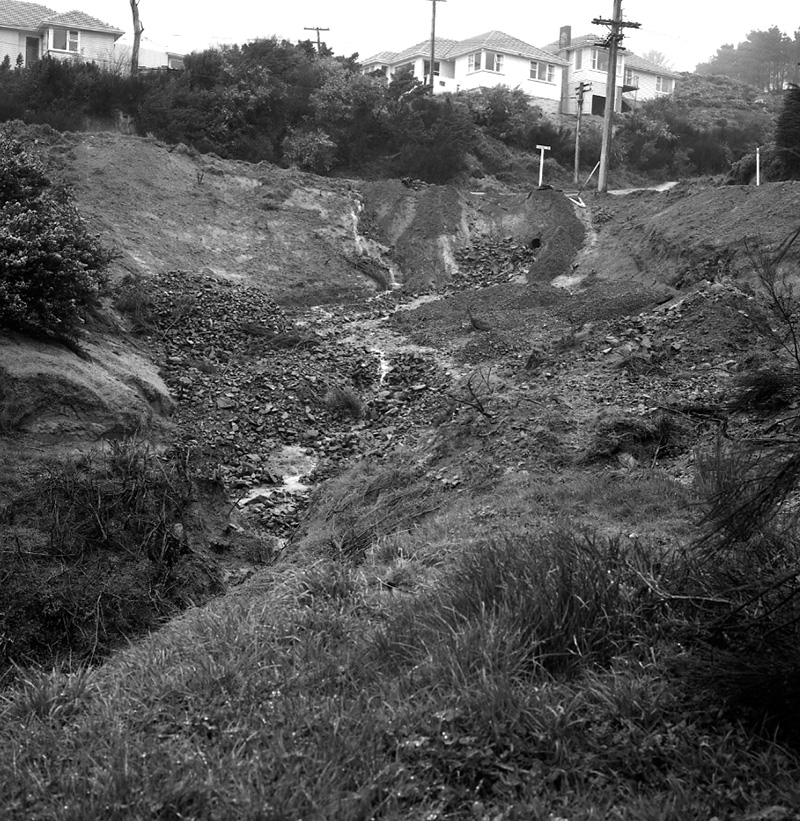 b. Beasley, Paparangi