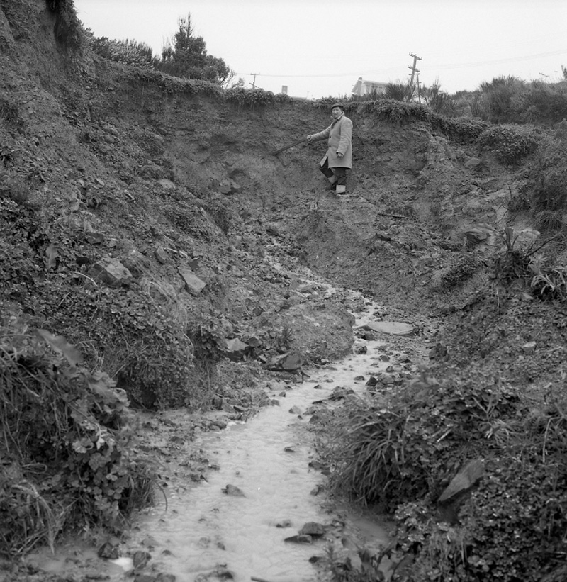 c. Beasley, Paparangi