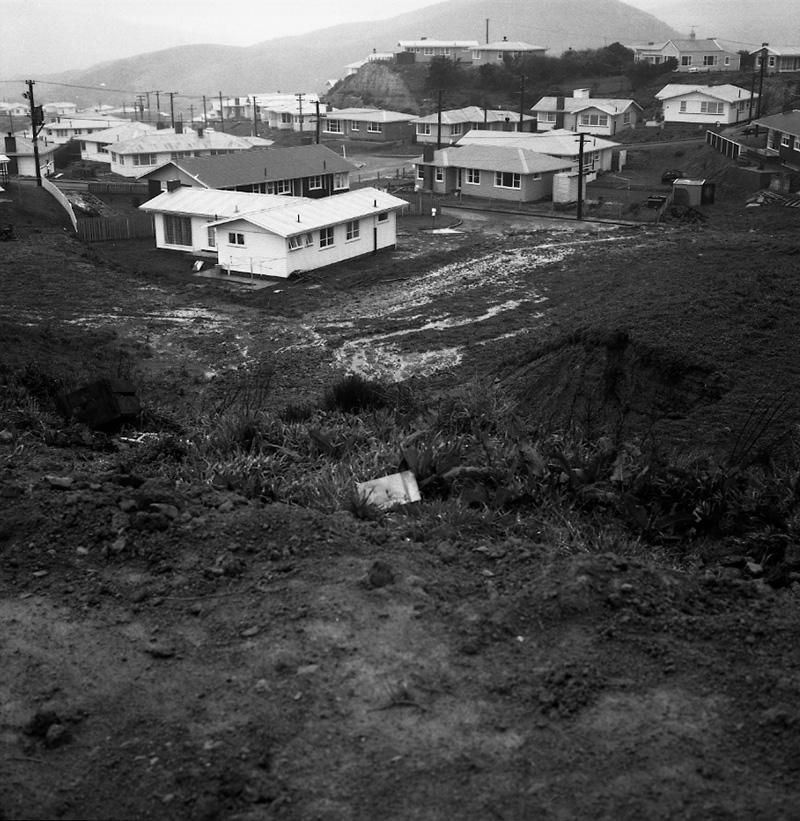 d. Beasley, Paparangi