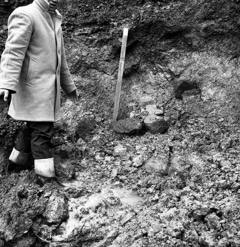 e. Beasley, Paparangi