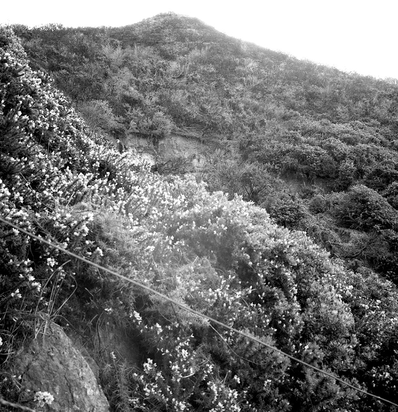 h. Slip - Valley Street