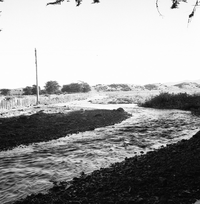 b. Queen Elizabeth Park