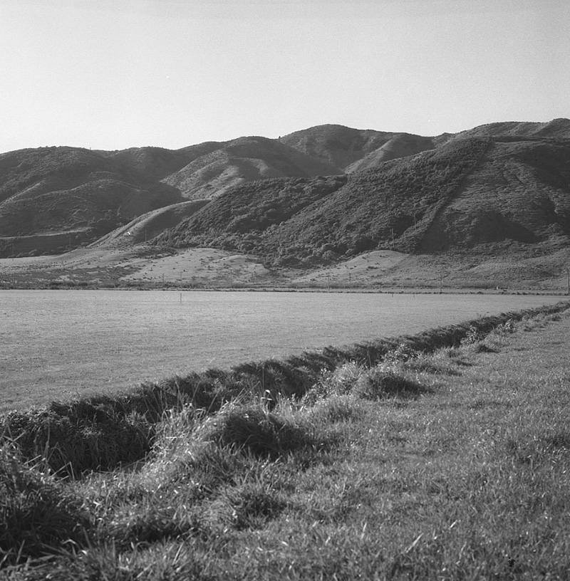 c. Queen Elizabeth Park