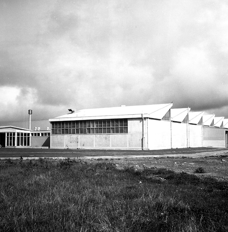 b. Building, Rongotai