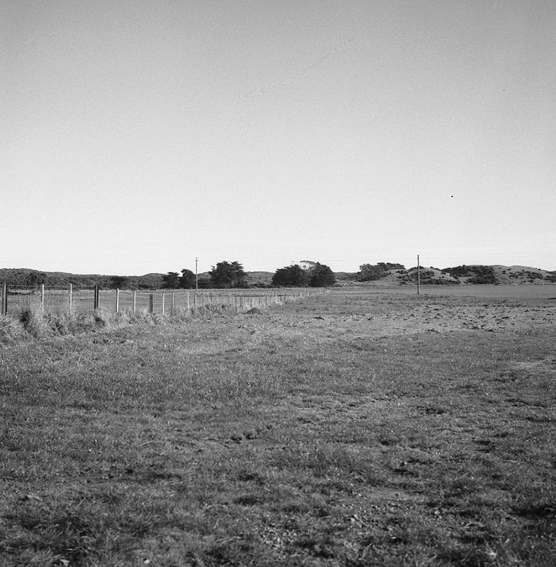 d. Queen Elizabeth Park