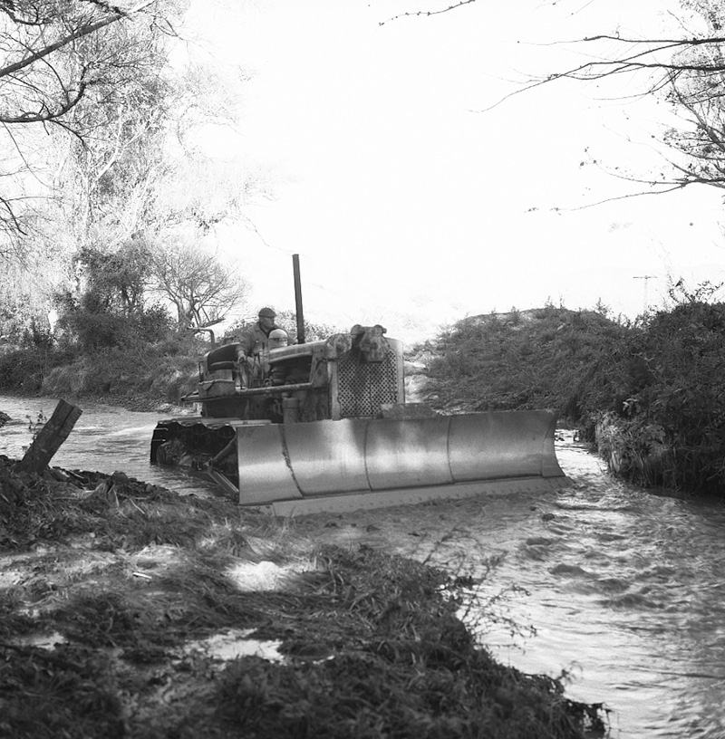 e. Queen Elizabeth Park