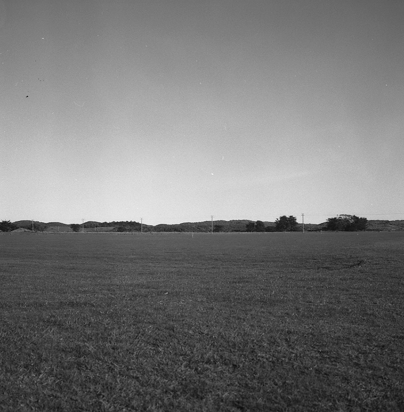 f. Queen Elizabeth Park