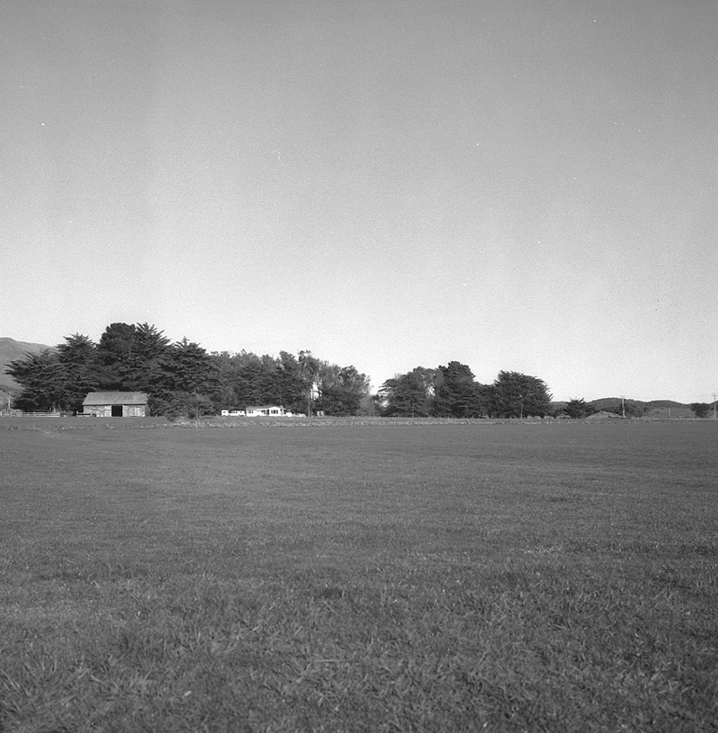 g. Queen Elizabeth Park