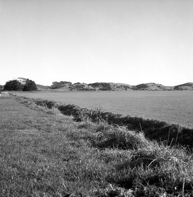 h. Queen Elizabeth Park