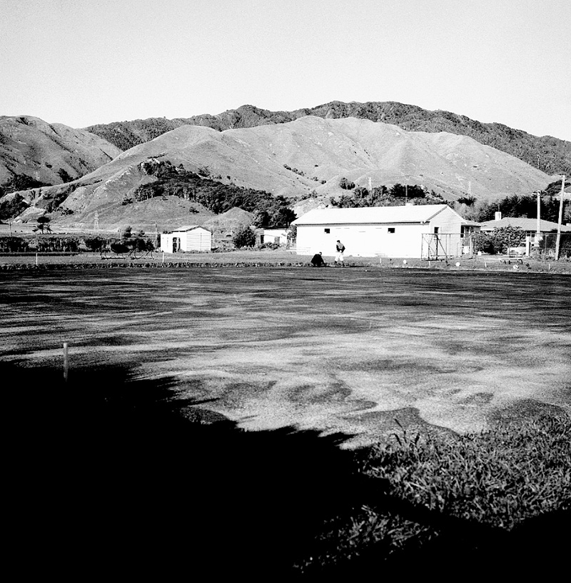 i. Queen Elizabeth Park