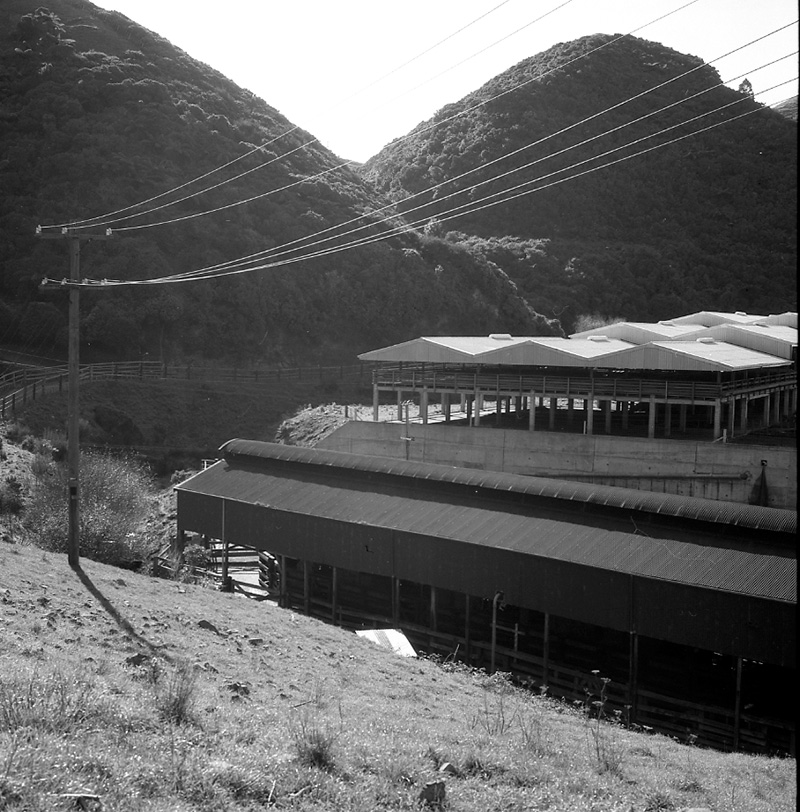 a. Panorama of Abattoirs