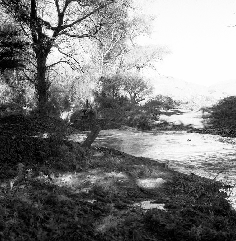 k. Queen Elizabeth Park