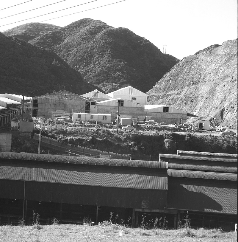 b. Panorama of Abattoirs