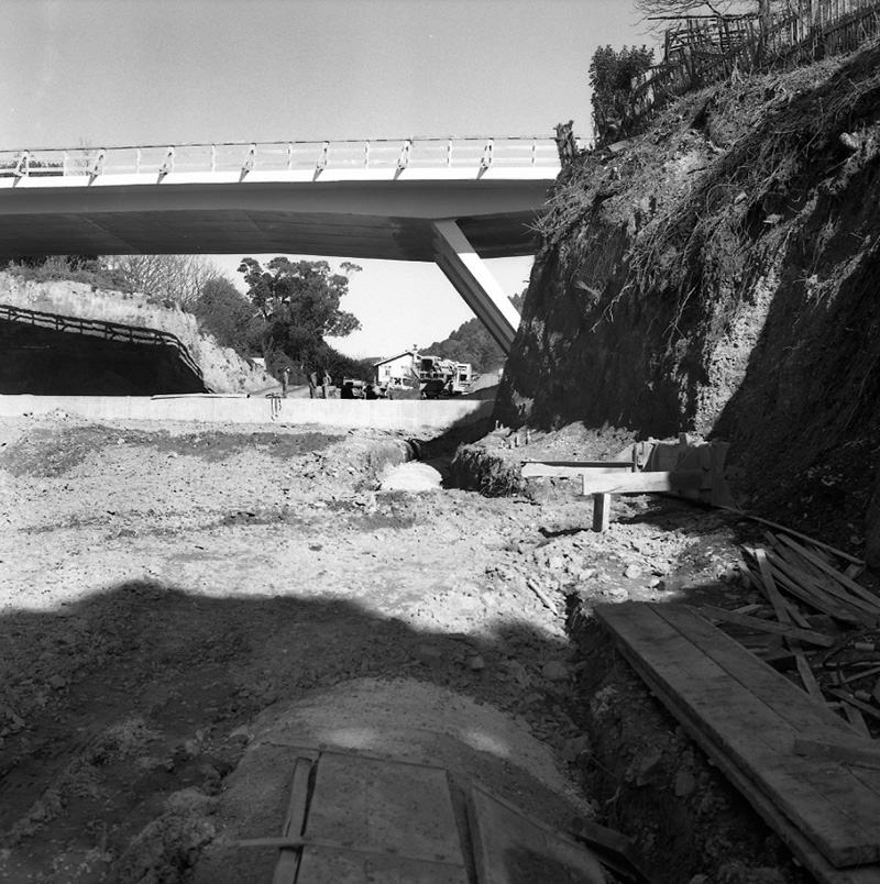 f. Hobsons Gully Drainage