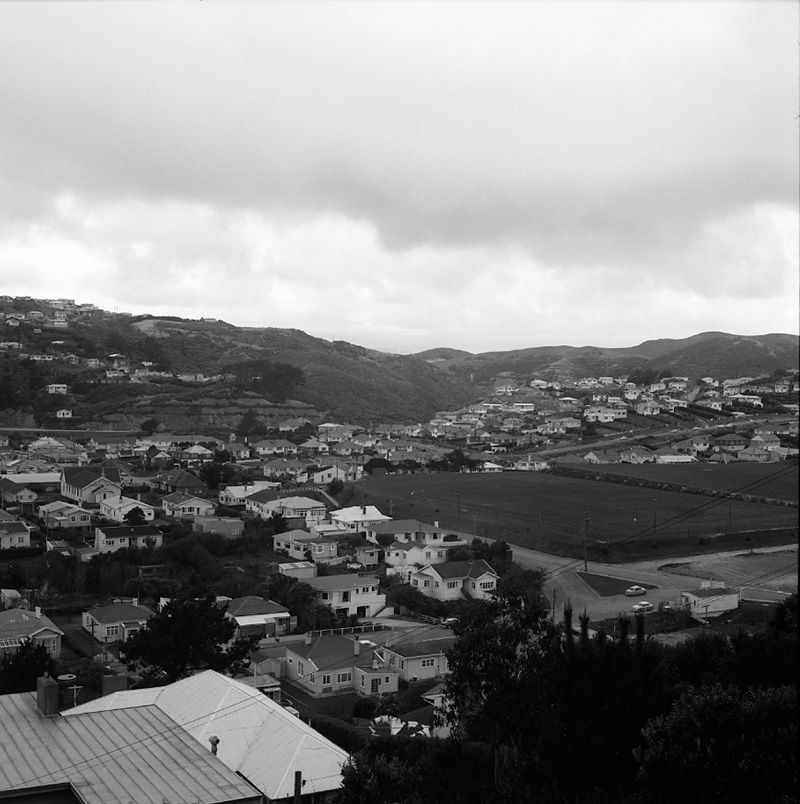 c. Panorama, Johnsonville main road