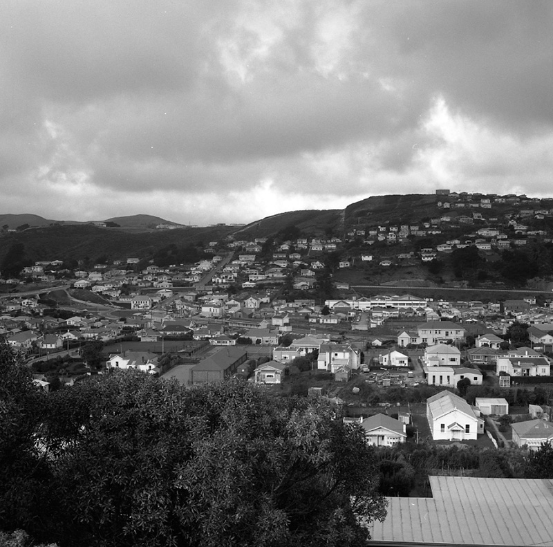 d. Panorama, Johnsonville main road