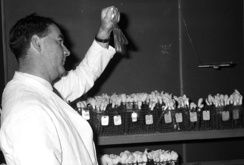 k. Laboratory, Corporation yard