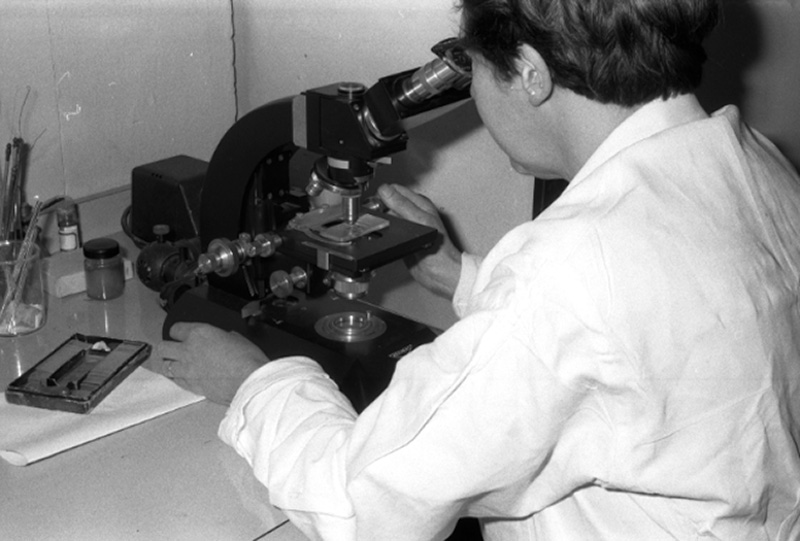 n. Laboratory, Corporation yard