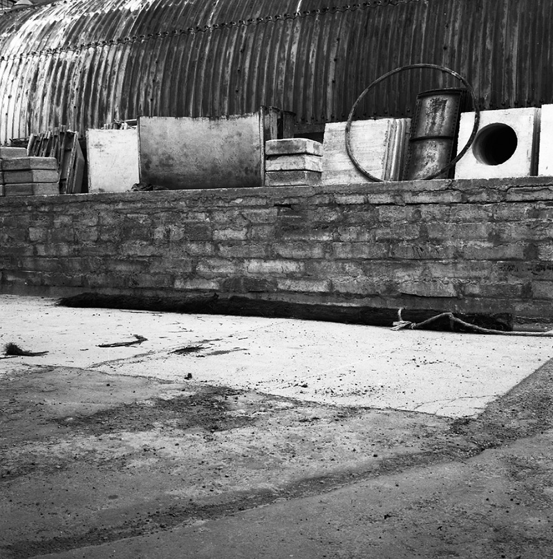 a. Punga Root, Drainage, No 1 Wilkinson Street