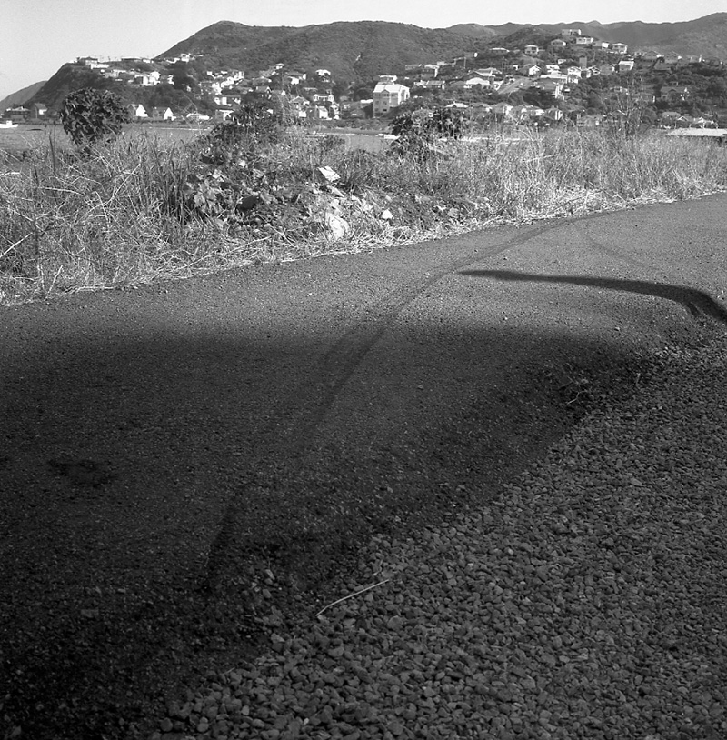 b. Traffic, Esplanade Island Bay