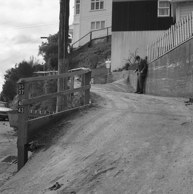 b. No 43 Palliser Road