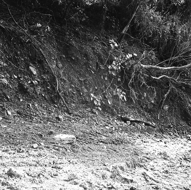 a. Brosnahan Terrace