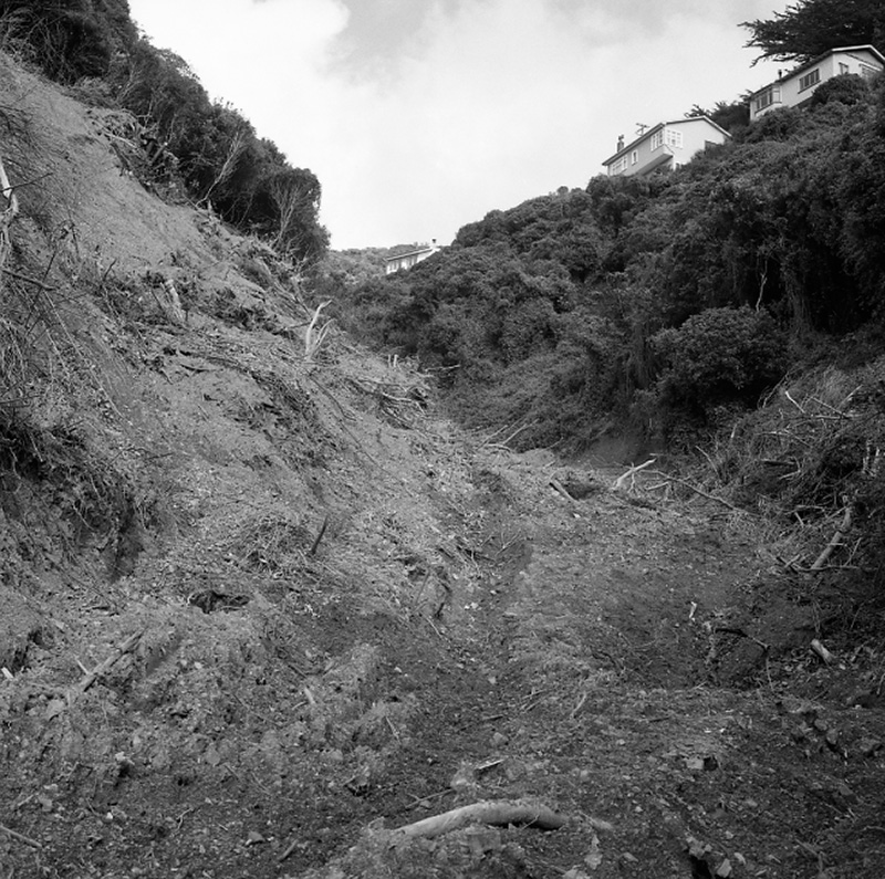 d. Brosnahan Terrace