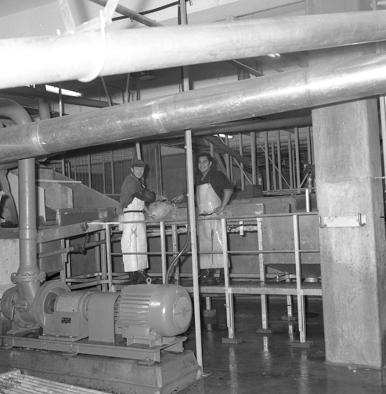 d. Abattoirs