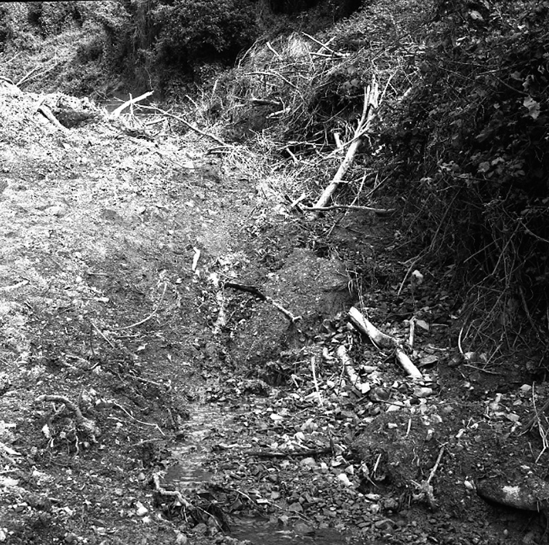 g. Brosnahan Terrace