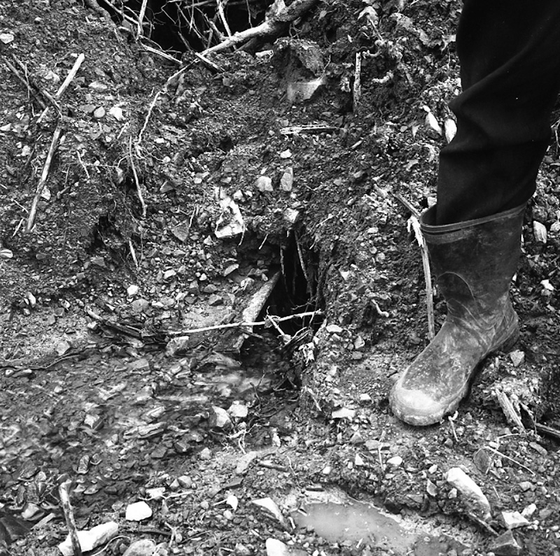 h. Brosnahan Terrace