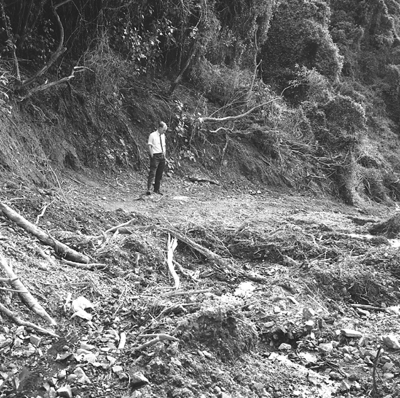 i. Brosnahan Terrace