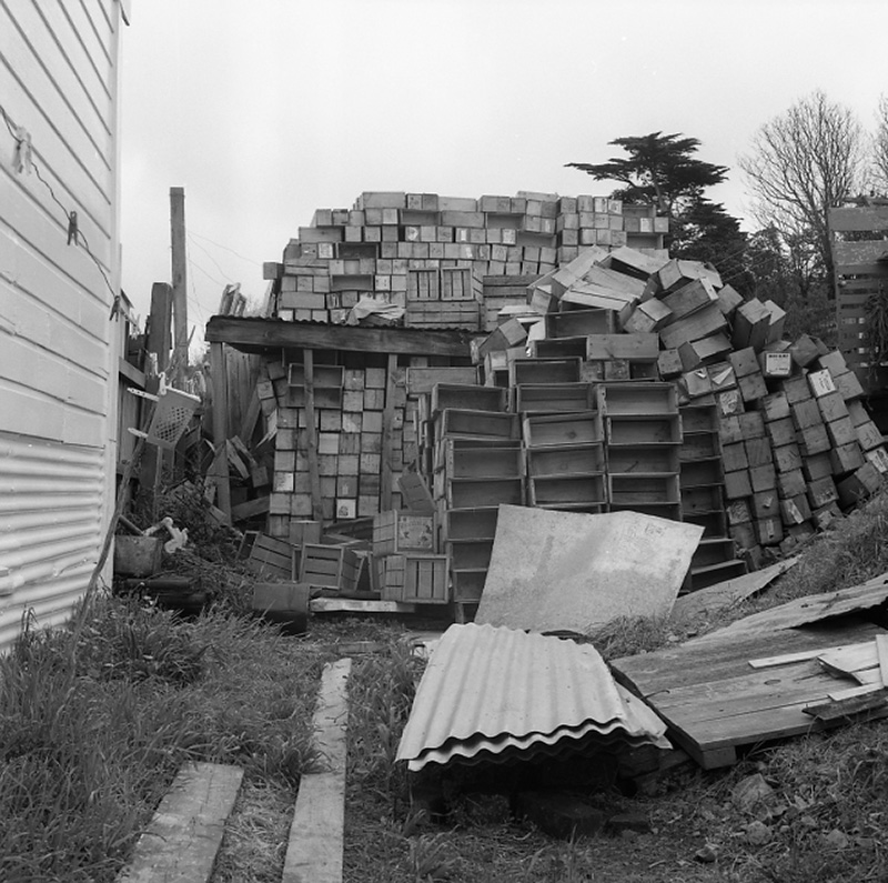 c. Uneeda Fruit Service, No 44-46 Owen Street