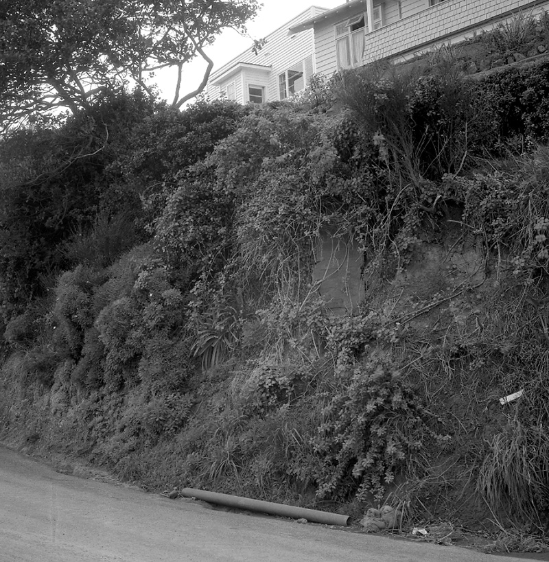 a. Totara Rd-Camperdown Rd