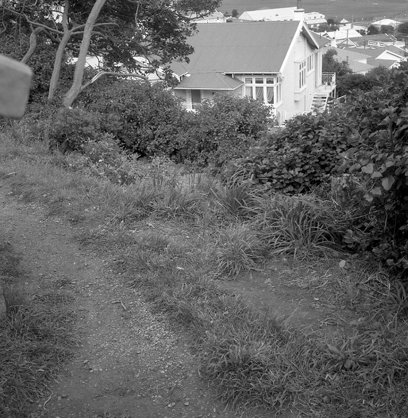 b. Totara Rd-Camperdown Rd