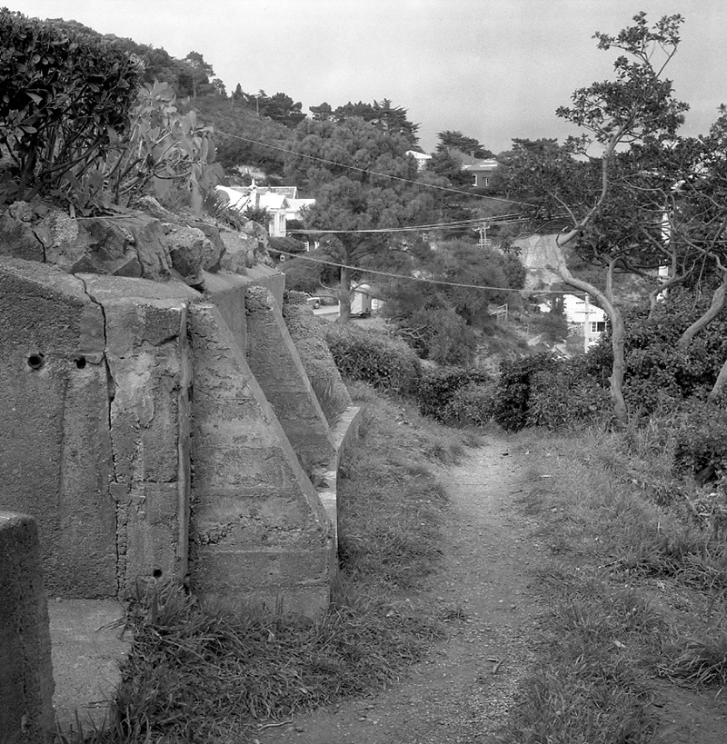 a. Tio Tio Road-Camperdown Rd